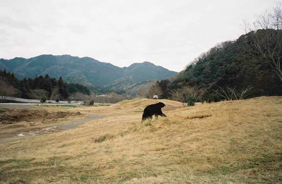 田中芽衣（めいめろ）さんのインスタグラム写真 - (田中芽衣（めいめろ）Instagram)「@tanacameraaa 休日旅フィルム。」2月23日 17時38分 - mei_tnk