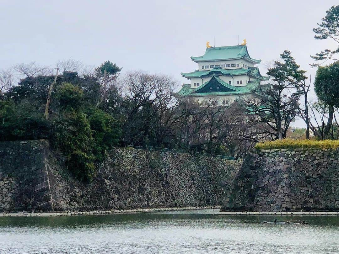 岡田ひとみ（ねんドル）さんのインスタグラム写真 - (岡田ひとみ（ねんドル）Instagram)「#businesstrip #nagoya #nagoyacastle #castle #名古屋#出張#名古屋城」2月23日 17時43分 - hitomi_nendol