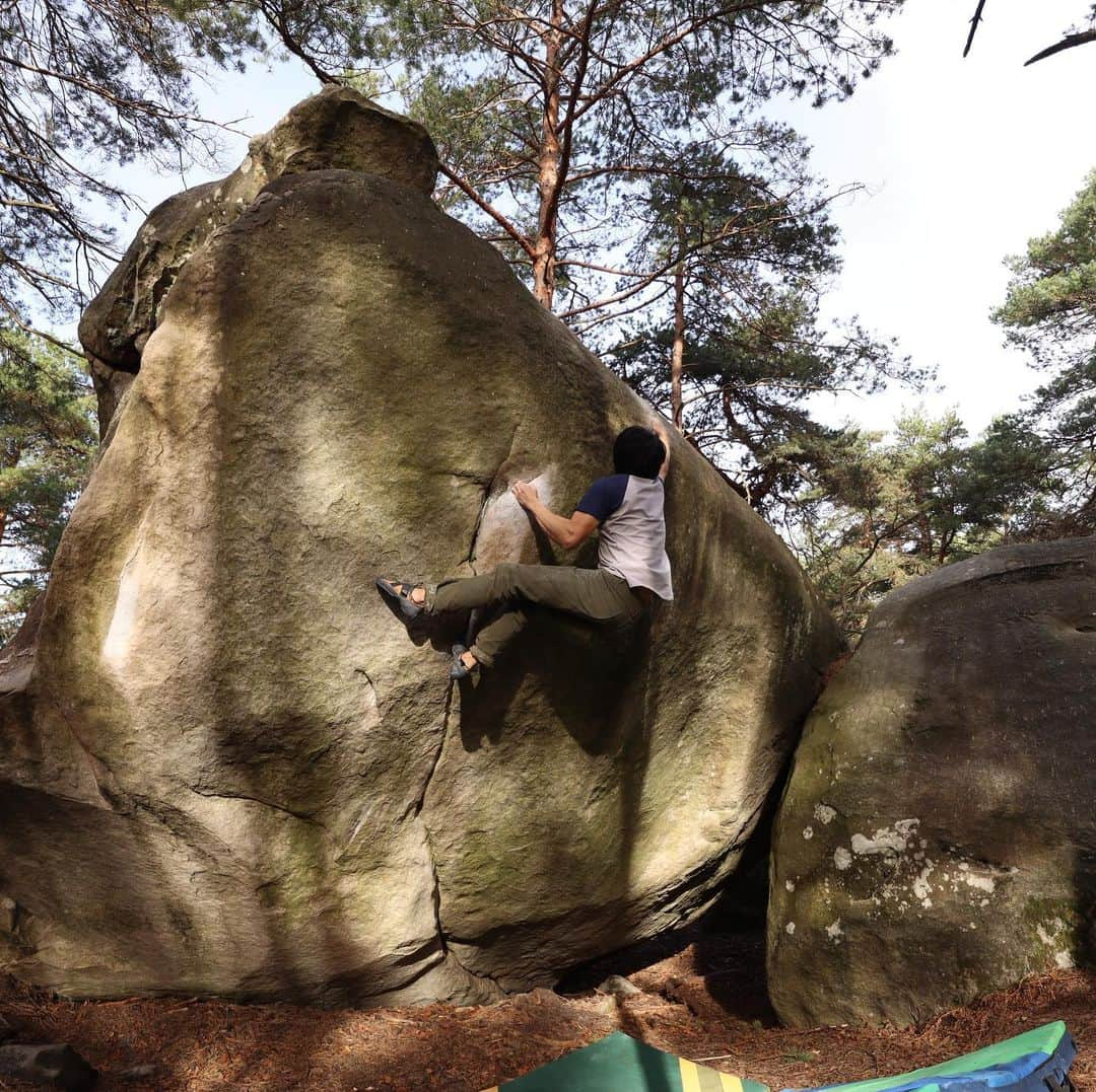 濱田健介のインスタグラム：「Fontainebleau day12. I tried Karma 8A+, but I couldn’t it.. I hope come back when I get stronger. Photo and video are Karma 8A+. ブロー12日目。 朝からFranchard Iasatisのエリアに行ったけど、Alta 7Cをトライ中にえりが捻挫してしまった。。下地に木の根っこがあって、俺も確認不足でした。。 とりあえず、一旦宿に帰宅。 安静していればひとまず大丈夫そうだったので、1人で岩場に戻って Karma 8A+ にトライ。ツアー序盤に敗退してて、ずっと気になっていた。 結論から言うと、再び敗退。前回より高度は上がって何とかヒールかけるとこまできたけど、スローパーが持ててない。んー、パワーが足りてない？最後は雨も降ってきて、潔く敗退。 もっと強くなっていつかリベンジしよう。 明日は最終日。どこにいくか。 写真と動画はKarma 8A+。登れてへんけど。。これが今の精一杯。。 @rockmasterhq  @unparallelup  @organicclimbing  @nogradjustfeeling  @camp1889」