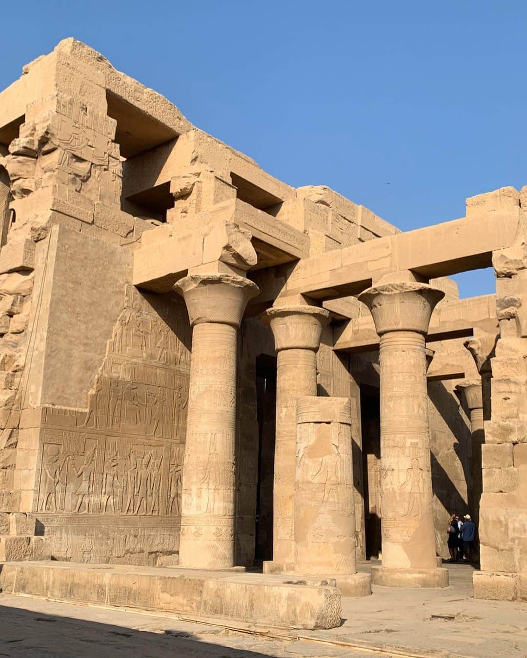 日高大地さんのインスタグラム写真 - (日高大地Instagram)「エジプト旅行記【コム・オンボ神殿とホルス神殿】﻿ ﻿ 1枚目は今回のエジプト旅行でとってもお世話になった、スーパーガイドのモハメッド さん😊モハ先生です。﻿ エジプト旅行へ行く予定の方はぜひご紹介したい！﻿ 着ているのは、エジプト民族衣装のガラベーヤ。現地調達しました🤗﻿ 木綿や麻で織られているので、涼しい！﻿ ﻿ 2.3.4.5. コム・オンボ神殿　迫力と、レリーフが綺麗！﻿ 6.7.8. ホルス神殿　ハヤブサの神ホルスを祭る神殿。﻿ エジプト国内で最も美しいホルス像と讃えられている。﻿ ﻿ ﻿ #travel #travelgram #instatravel #travelphotography #世界遺産 #旅写真#旅スタグラム#海外旅行﻿ #エジプト #エジプト旅行#ピラミッド#カイロ#ギザ#スフィンクス#砂漠#ナイル川#クルーズ#ナイル川クルーズ#エドフ#コムオンボ神殿#ホルス神殿#ガラベーヤ#egypt#nileriver#cairo#aswan#templeofkomombo#templeofhorus#garabeya#🇪🇬」2月23日 20時02分 - yoko92hidaka