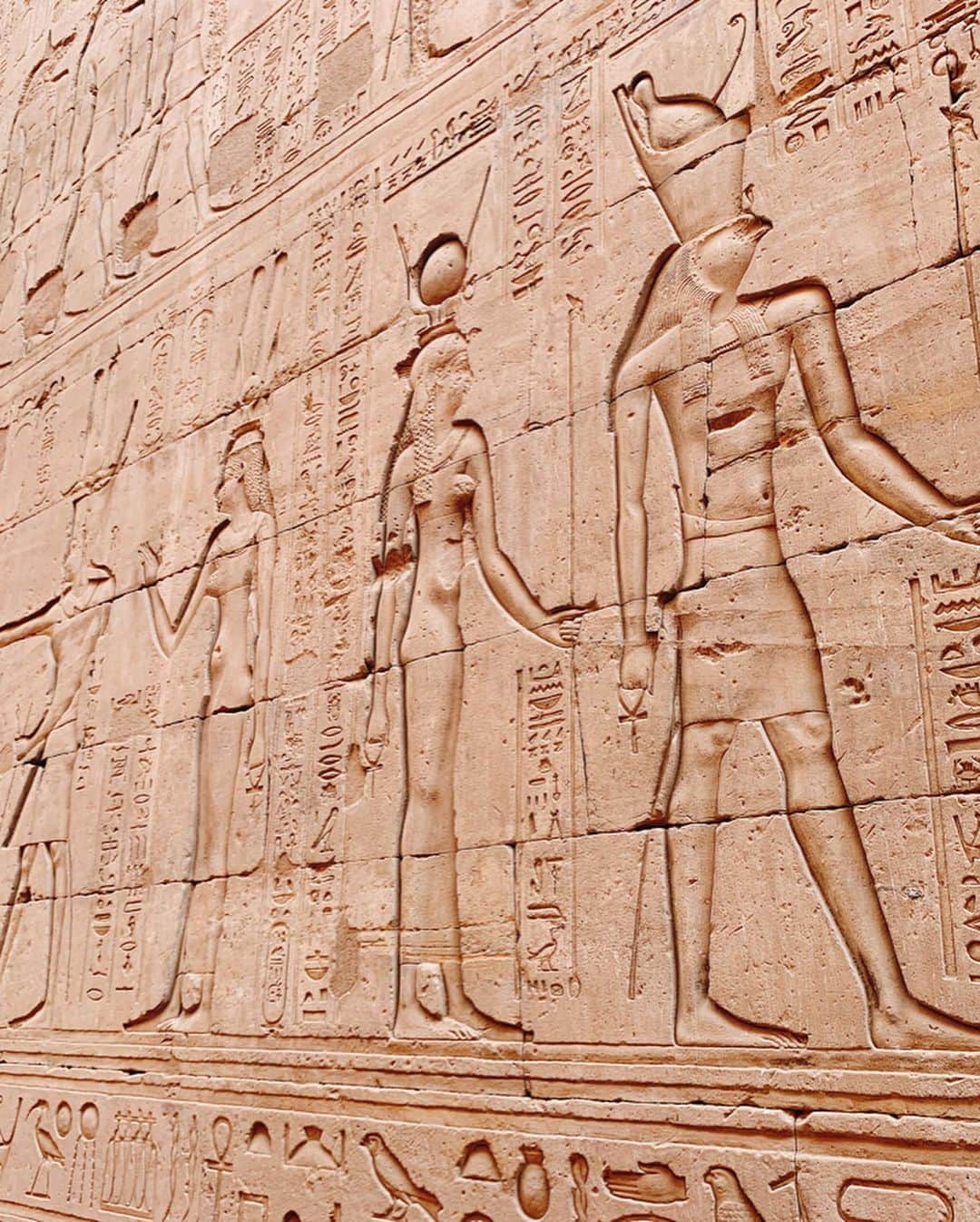 日高大地さんのインスタグラム写真 - (日高大地Instagram)「エジプト旅行記【コム・オンボ神殿とホルス神殿】﻿ ﻿ 1枚目は今回のエジプト旅行でとってもお世話になった、スーパーガイドのモハメッド さん😊モハ先生です。﻿ エジプト旅行へ行く予定の方はぜひご紹介したい！﻿ 着ているのは、エジプト民族衣装のガラベーヤ。現地調達しました🤗﻿ 木綿や麻で織られているので、涼しい！﻿ ﻿ 2.3.4.5. コム・オンボ神殿　迫力と、レリーフが綺麗！﻿ 6.7.8. ホルス神殿　ハヤブサの神ホルスを祭る神殿。﻿ エジプト国内で最も美しいホルス像と讃えられている。﻿ ﻿ ﻿ #travel #travelgram #instatravel #travelphotography #世界遺産 #旅写真#旅スタグラム#海外旅行﻿ #エジプト #エジプト旅行#ピラミッド#カイロ#ギザ#スフィンクス#砂漠#ナイル川#クルーズ#ナイル川クルーズ#エドフ#コムオンボ神殿#ホルス神殿#ガラベーヤ#egypt#nileriver#cairo#aswan#templeofkomombo#templeofhorus#garabeya#🇪🇬」2月23日 20時02分 - yoko92hidaka