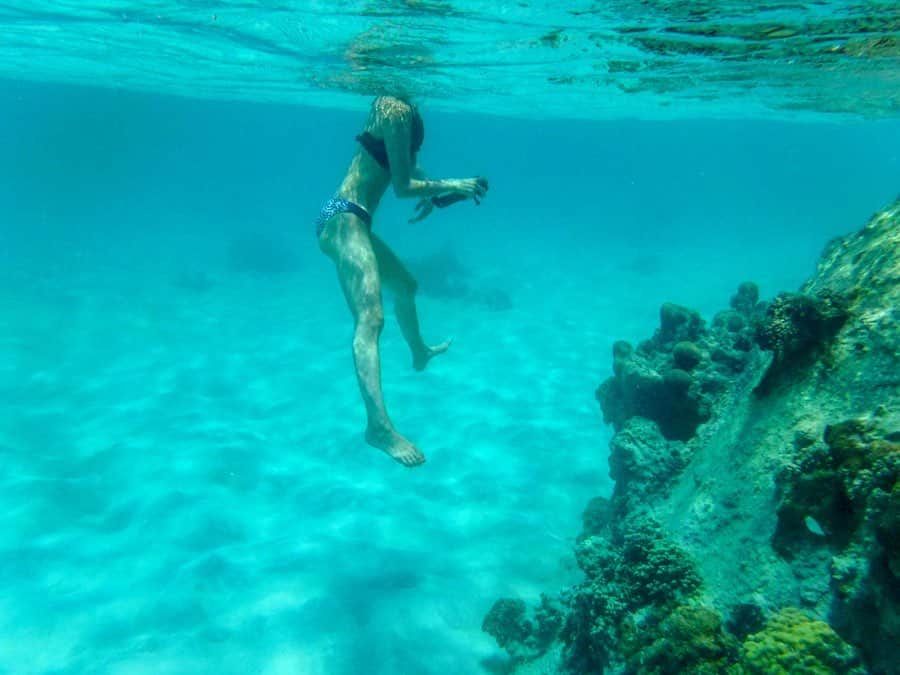 渡辺由布子さんのインスタグラム写真 - (渡辺由布子Instagram)「🐠🤿 ・ ＳＣＨＮＯＲＣＨＥＬ  リアルなバスクリンブルーの海がこの地球には存在していた。  タオ島はダイビングの聖地として知られているけれど、この透明度の高さなら、重装備無くともゴーグル一つで潜れば、たくさんの熱帯魚に出会える！ 無我夢中で1時間ばかり泳いだらあっという間に真っ黒に🧑🏾 ・ ・ @fujifilmjp_x のXP140コンパクトデジタル防水カメラで撮影📷 ・ ・  #ナンユアン島　 #素潜り #シュノーケリング #バスクリン #いい湯だな #離島旅 #islandhopping  #beachresort #schnorchel  #scubadiving  #sunburn ・ ・ ・ 📍 #KohNangYuan #Thailand #🇹🇭」2月23日 20時07分 - watanabe_yuko