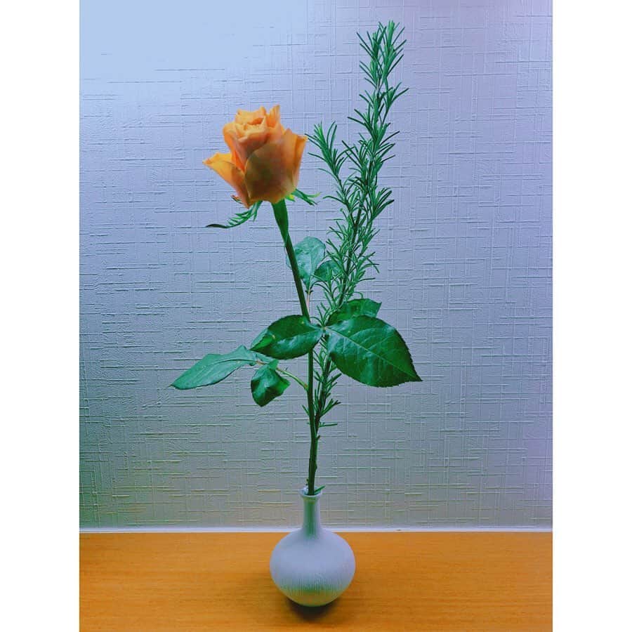 潘めぐみさんのインスタグラム写真 - (潘めぐみInstagram)「🍃ローズとローズマリー🍃 . ああ、すごく香る。 . お花をもらえることの歓びを、ここ数年で実感します。 . 一輪挿し（一輪じゃないけどね！笑）の花瓶を持っていなかったので、いい機会なので購入してみました。 . フォルムが可愛くて、一目惚れ。 . #rose #rosemary #flower #flowers #flowerstagram #一輪挿し #花瓶 #縁」2月23日 20時14分 - han_meg_han