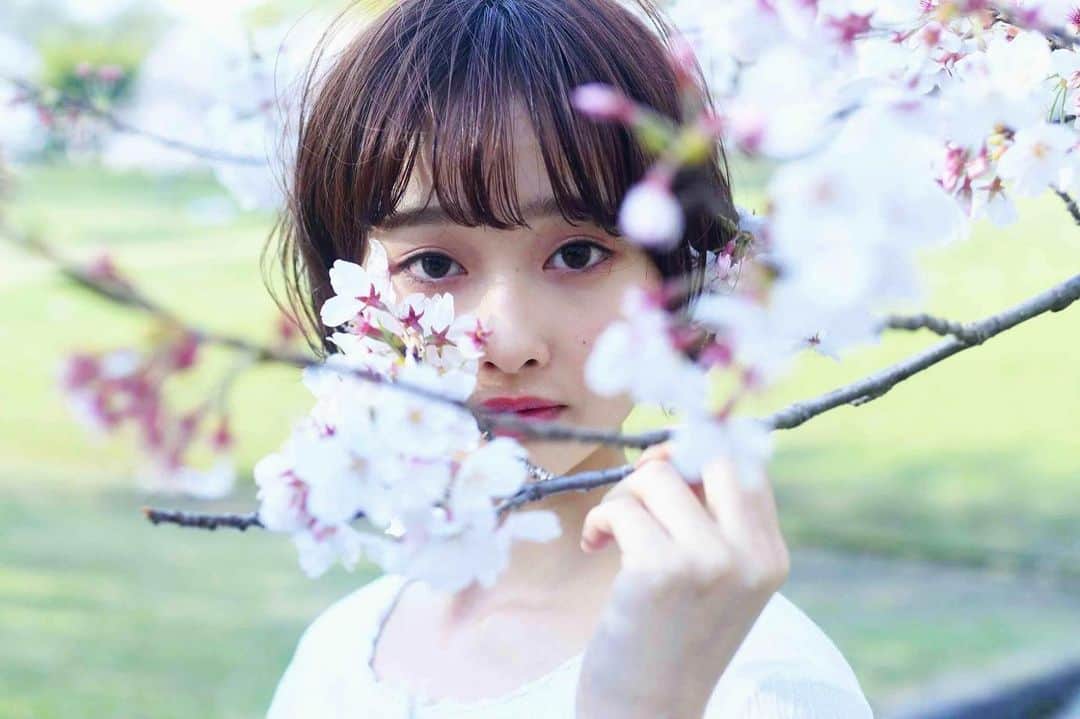 福元雄一郎さんのインスタグラム写真 - (福元雄一郎Instagram)「. switchのさくらと桜🌸 . . . cut color @yuichiro0522  styling @_m_na_m_  make up @coro_hoshi  photo @tatsuya_kumamoto girl @bii_sak . . . #kumaxsakura #ほしなめいく #photobykumamoto  #switchhairFUKUOKA #switch  #switchhair  #福岡美容室  #大名美容室  #天神美容室 #ショートヘア #福岡ショート #福岡ショートヘア #ショート#ショートカット#ショートボブ#ショートヘア#ショートヘアー#似合わせカット#前髪#前髪カット#ヘアスタイル#ヘアカタログ#小顔カット#グレージュ#ハイライト#ハンサムショート #切りっぱなしボブ」2月23日 20時24分 - yuichiro0522