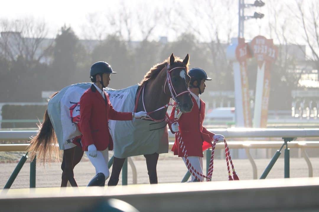 ゆきのしんさんのインスタグラム写真 - (ゆきのしんInstagram)「モズアスコットすごかったー🥺✨ モズアスコットを照らす日差しも素敵だった🌈 #モズアスコット #フェブラリーステークス  #東京競馬場　 #馬女　 #馬好き #カメラ女子」2月23日 21時32分 - yukino__shin
