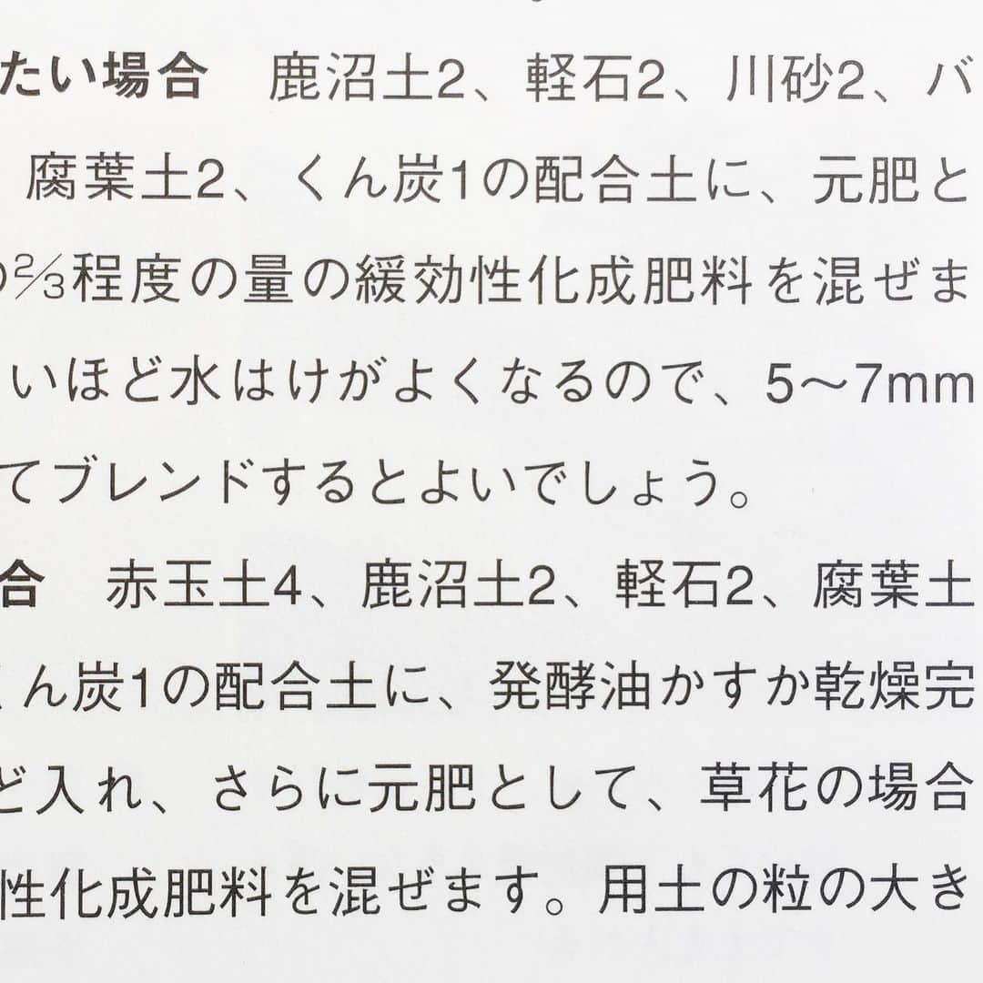 田辺あゆみさんのインスタグラム写真 - (田辺あゆみInstagram)「🌵 最近は呪われたように多肉植物とサボテンのことばかり考えています。 自分の人生で第二次の植物ブーム。 第一次は19歳のときに到来し、わりと幅広い植物を育てました。  サボテンのことを調べていたら、知らんうちに誕生日も迎えていまして、また歳をとってしまった。 呪われた母に、画伯が不思議な植物の絵をプレゼントしてくれました☺️ 今年は、何かにのめり込むとコントロール不能になるこの性格をなんとかしたいものです。 と言いながらも、土の配合が頭にぐるぐると浮かんできて、呪文のように巡っている。 この気候に適した土の配合はなになの。。。。」2月23日 21時32分 - _ayumitanabe_