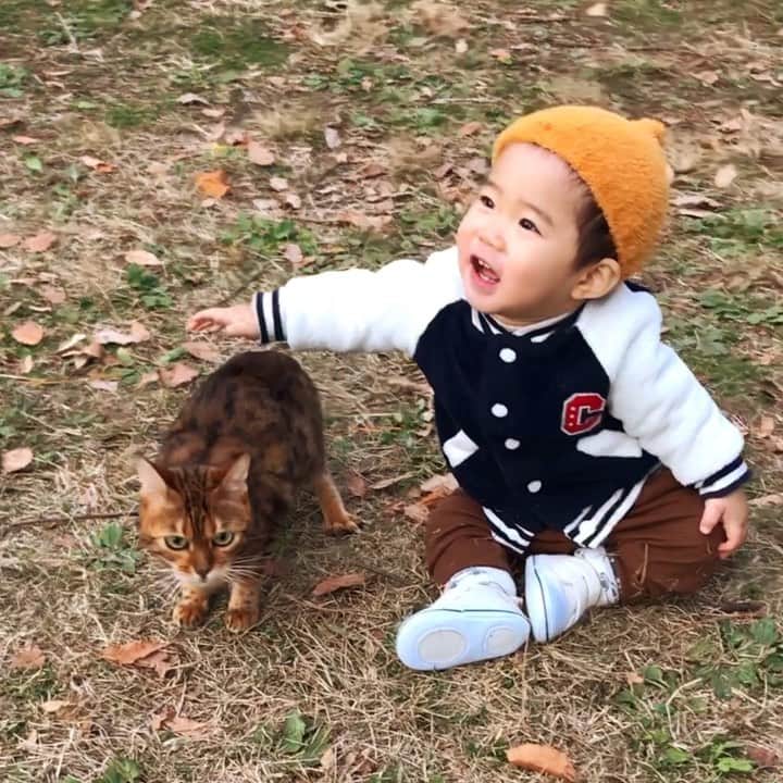 なつこのインスタグラム：「弟くんにいいこいいこされるなつこおねえちゃん😂😹😂 ・ #なつこ #なっちゃん #なつこさん  #ペコねこ部 #みんねこ #ねこら部 #picneko #猫と暮らす #猫のいる暮らし #instacat #catstagram #catlife #catlover #catoftheday #ilovecat #topcatphoto #catsofinstagram #bestmeow #ねこ部 #ふわもこ部 #にゃんだふるらいふ #にゃんすたぐらむ #ねこすたぐらむ #赤ちゃんと猫 #猫と赤ちゃん #hikingcat #AdventureCats」