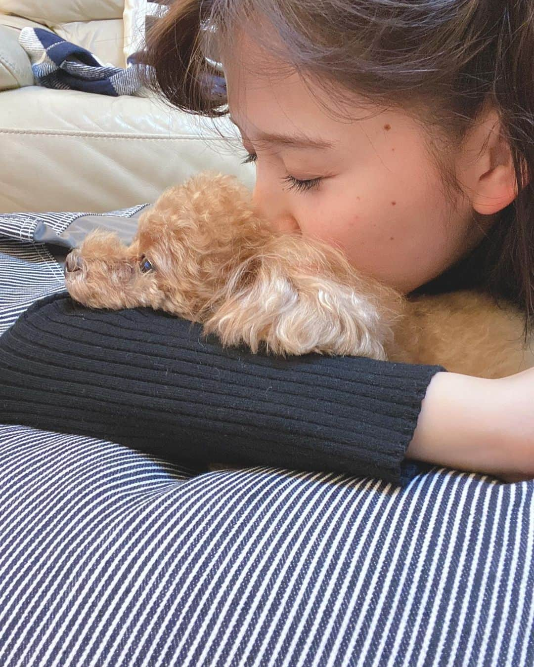 玉井詩織さんのインスタグラム写真 - (玉井詩織Instagram)「Happy Birthday my love ❤️ #愛犬 #イロハ #いろたん #こうみえて7歳」2月23日 22時43分 - shioritamai_official