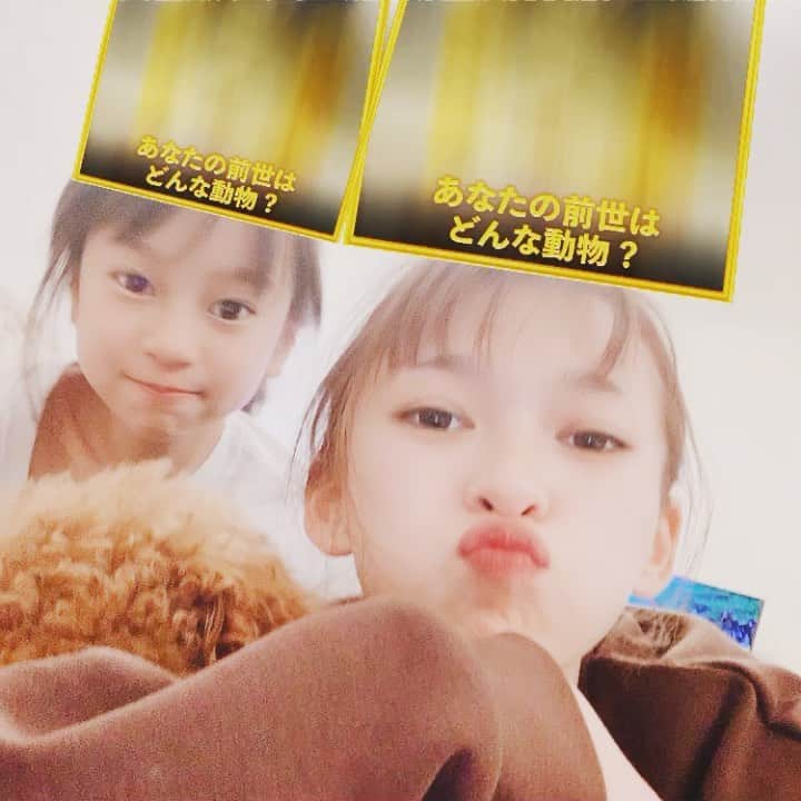 町田亜里香のインスタグラム：「親子でやってみたが、 わたしなに？まじかよ。笑 顔真似一応しておいた😚👏 . 最近すっぴんばっかり。 ついにモールにすっぴんマスク 花粉メガネで👓行くようにww 明日は化粧しよっと。 うん。そうしよっと。 コロナウイルスでどこも行きたくない。 早く終息して。。 . そしてじゅな可愛すぎないかい？ #親バカ . #16歳差親子 #16歳差  #js #js5 #親子 #アプリ」