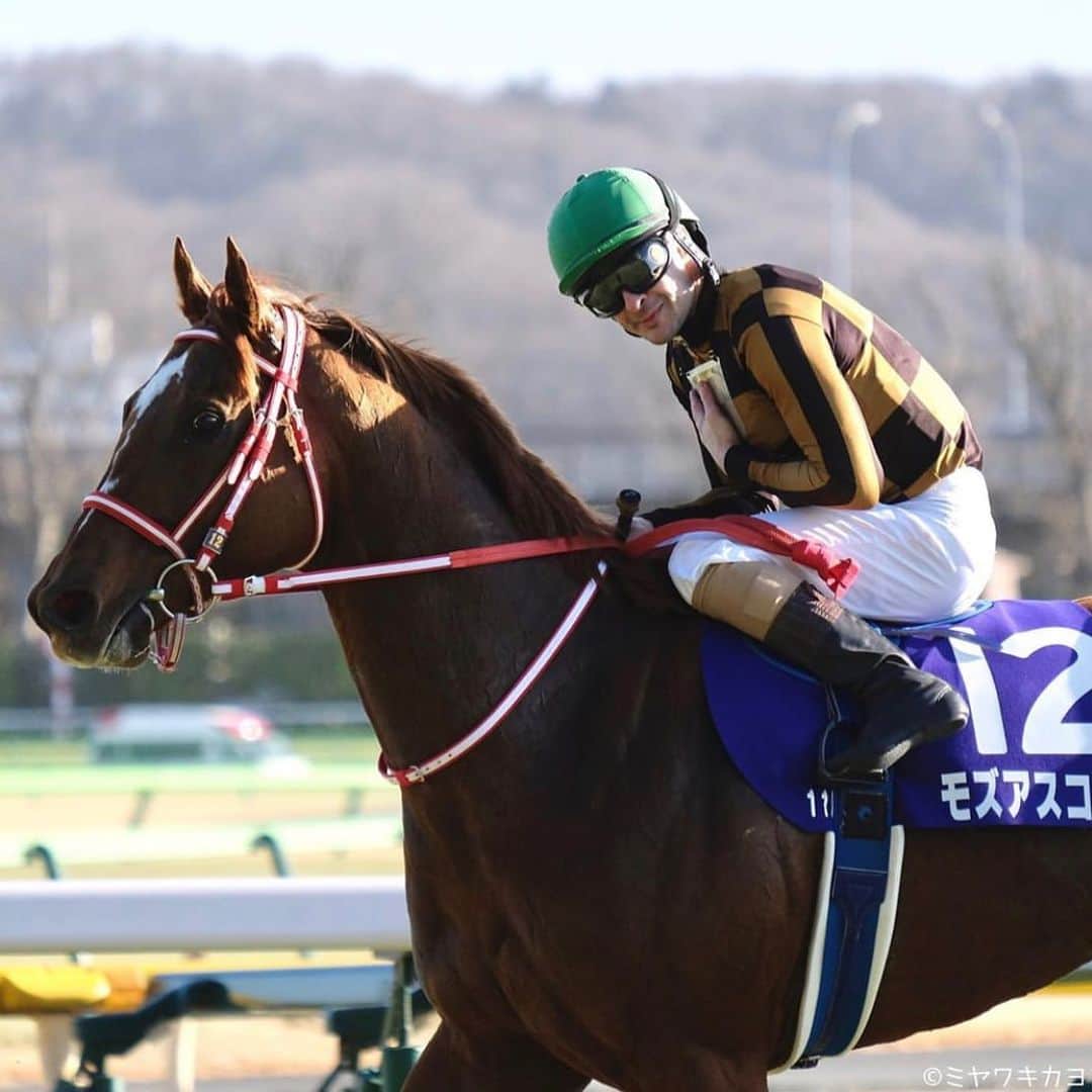 クリストフ・ルメールさんのインスタグラム写真 - (クリストフ・ルメールInstagram)「A great day in Tokyo! 8 good horses for 6 wins. Including including G1 February stakes with great horse Mozu Ascot. Next week: direction to 🇸🇦! 東京で6勝でき、良い一日になりました。今日もG1フェブラリーステークスのモズアスコットをはじめ8頭の素晴らしい馬に騎乗できて、幸せです！ 次の騎乗はサウジアラビアです。」2月23日 23時07分 - christophelemaire_officiel