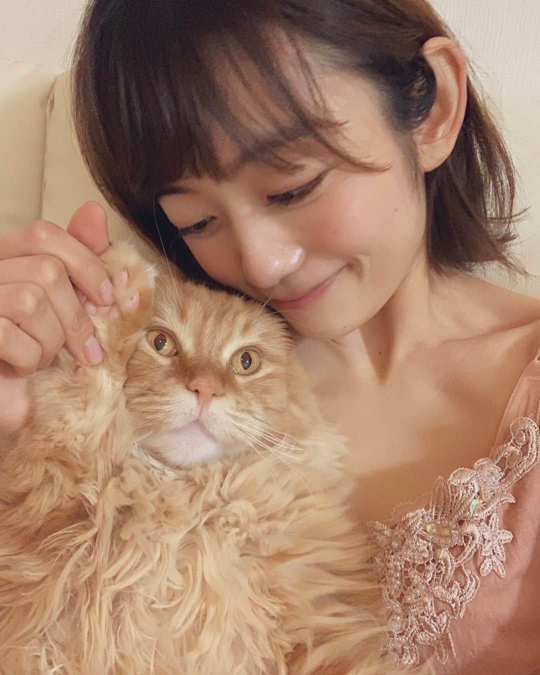 森田涼花のインスタグラム：「っよ!🖐 メモみたいに使ってるインスタ @nyancat_16 内容はともあれ猫もふもふ写真で埋め尽くしたい にゃんすたぐらむ😌」