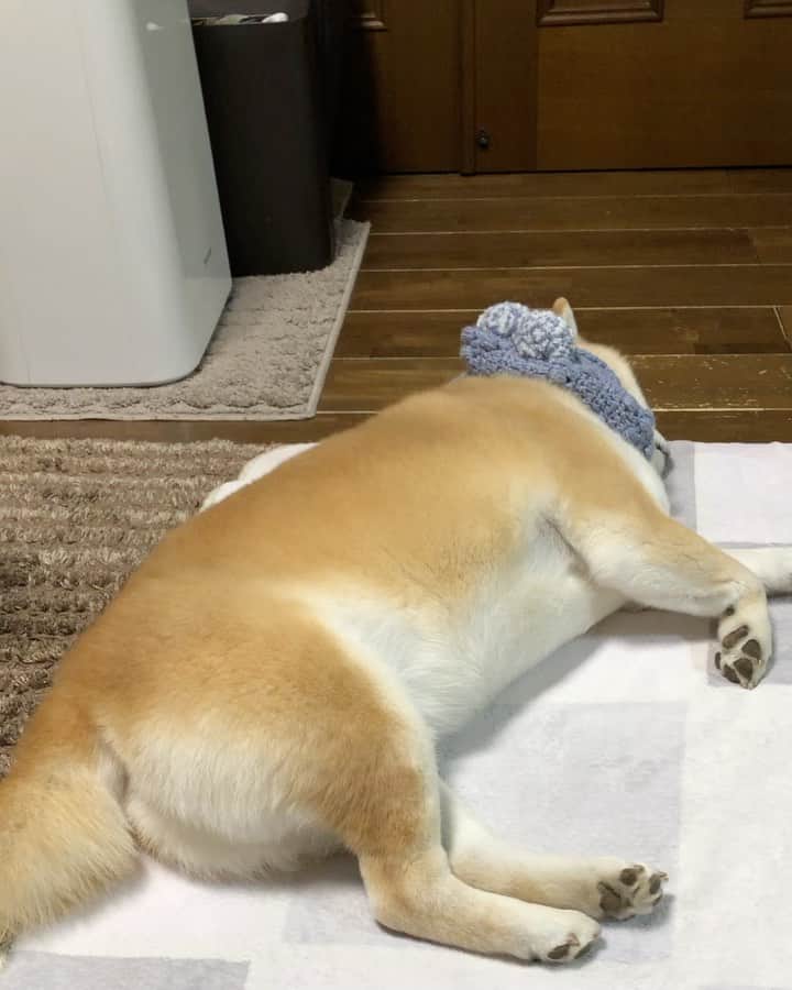 豆助左衛門（まめすけざえもん）のグルメインスタ