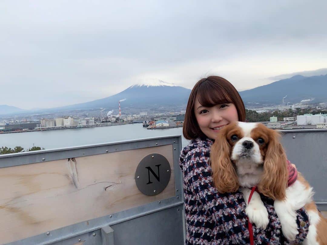 嶋梨夏さんのインスタグラム写真 - (嶋梨夏Instagram)「今日は「富士山の日」だったので、愛犬と一緒に富士山見たときのお写真を🐶💕💕本当に私にとって一番のパワースポットだ🌟最近あんまり行けてないから、春に向けて雪の多いときの富士山見に行けたらいいなぁ🗻✨✨✨ #2月23日 #富士山の日 #富士山 #MtFuji #富士山大好き #パワースポット #cavalier #キャバリア #cavalierkingcharlesspaniel #愛犬 #mydog #アラサー女子 #丸顔 #ショートボブ #ぷに子 #photooftheday #JAPAN #japanesegirl #avex #avexmanagement #instagood #followme #ricashima #嶋梨夏」2月23日 23時49分 - shimarica_jp