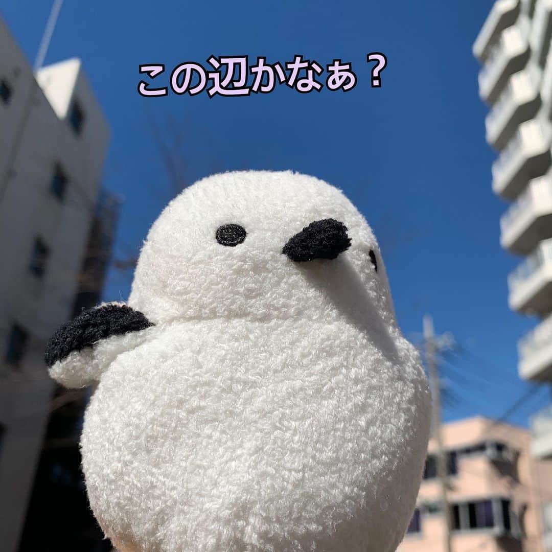 江口ともみのインスタグラム