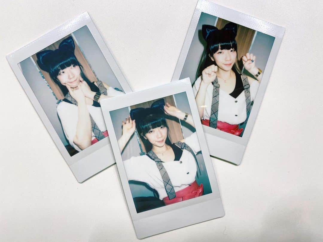 ぱいぱいでか美のインスタグラム：「どう考えても昨日載せるべきなんですが…… ꙳ #猫の日　#にゃんにゃんにゃんの日 #猫の日二日目 ꙳ 昨日のアポカリライブで販売してたランチェキ、 猫の日ということでこんな感じの混ざってました。 実際に手元に渡るやつには落書きも入ってるはず✏︎」