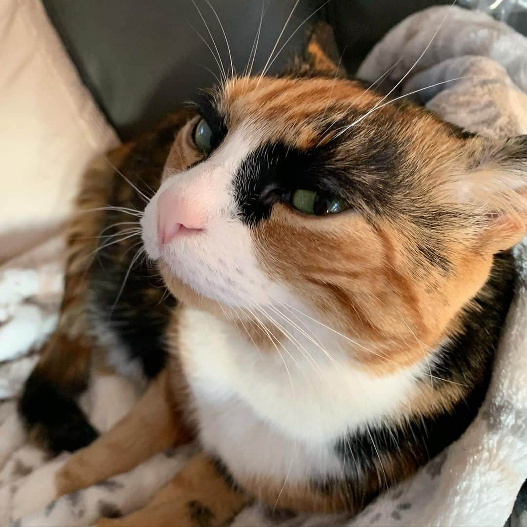 のインスタグラム：「Side eye sass 👀」