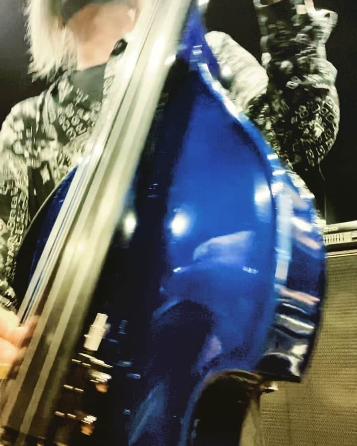 のインスタグラム：「今日のリハ確認動画より「金魚蜂」 新曲ばっか練習してたから急に久々アップライト弾いてドギマギすますた。 サビ終わり辺りは盛大に間違えてるけどもう間違えないから大丈夫👌 生の弦楽器ってのは大変だけど面白い。 47ツアー周るに辺り、今まで散々演奏した金魚蜂をそのまんま演るのもつまんないんで多少あれしようかと思ってます。  #ダウト #玲夏 #金魚蜂 #アップライトってか #半コントラバスですこれは多分」