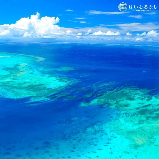 HAIMURUBUSHI はいむるぶしさんのインスタグラム写真 - (HAIMURUBUSHI はいむるぶしInstagram)「石垣島と西表島国内最大のサンゴ礁「石西礁湖=せきせいしょうこ」。 世界有数の透明度と400種類を超える造礁サンゴが分布する豊かな海です。 #沖縄 #八重山諸島 #サンゴ礁 #ラグーン #石西礁湖 #小浜島 #リゾート #はいむるぶし #japan #okinawa #yaeyamaislands #coral #lagoon #bluesea #kohamaisland #sekiseisyouko #beachresort #haimurubushi」2月24日 2時32分 - haimurubushi_resorts