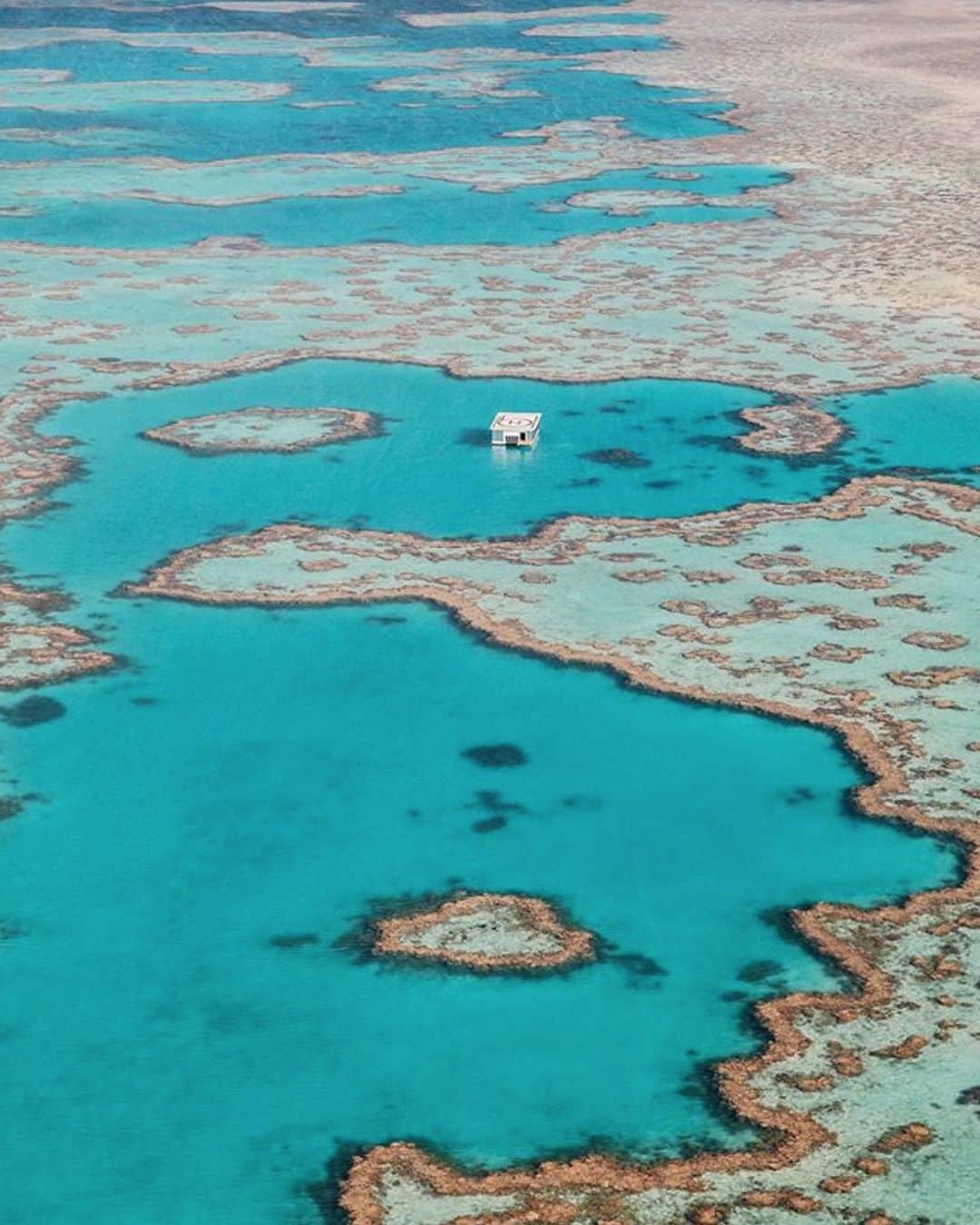 エレスさんのインスタグラム写真 - (エレスInstagram)「Have you ever been to the Great Barrier Reef? Picture by @inbedwith.me  #EresInspiration #summertime #ocean #Australia #GreatBarrierReef #SundayMood」2月24日 2時59分 - eres