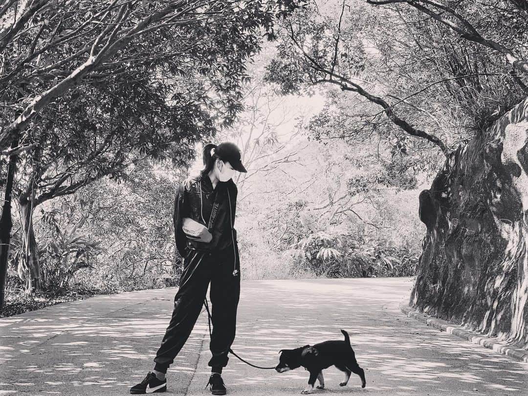 ジャクリーン・ウォンのインスタグラム：「our first walk 🐾👣」