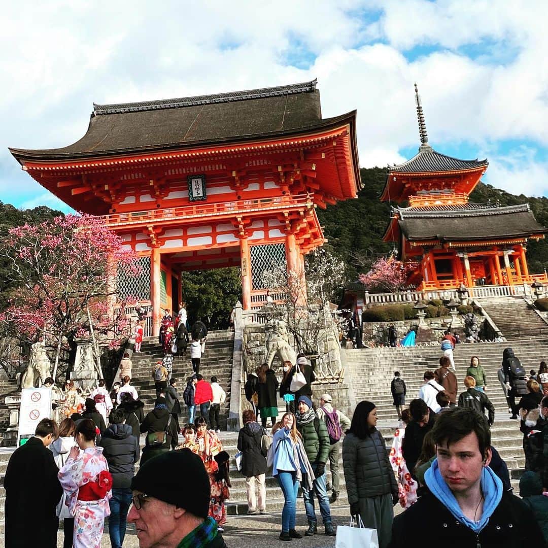 鈴木一真さんのインスタグラム写真 - (鈴木一真Instagram)「やっぱり京都もスゲー⛩ kyoto is one of the most popular destinations in Japan. It's as entertaining as Tokyo but in a different way. It's the cultural and historical heart of the country⚡️ #京都 #清水寺  #二寧坂 #三年坂 #八坂の塔 #八坂神社 #東山 #祇園 #巽神社 #ハードロックカフェ京都 #古都 #世界遺産 #KiyomizuTemple #NinenZaka #SannenZaka #YasakaNoTou #HigashiYama #Gion #YasakaShrine #MinamiZa #TatsumiShrine #HardRockCafeKyoto #Kyoto #WorldHeritage」2月24日 8時47分 - _kazumasuzuki_