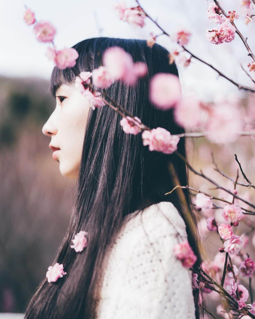 sorayuchiのインスタグラム：「・ 今年はまだ梅見れてないな〜🌸 今日で確定申告終わらせる！(予定)」