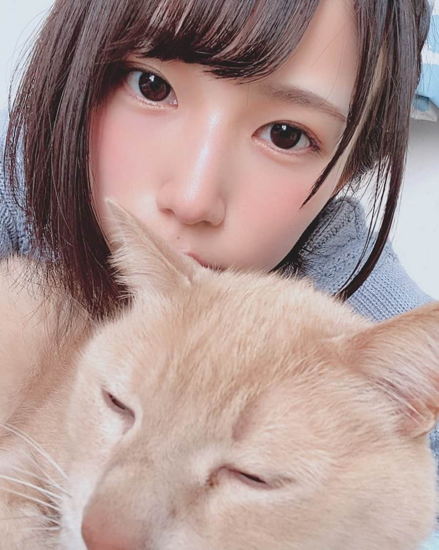 村上りいなさんのインスタグラム写真 - (村上りいなInstagram)「まろー🐱。 #猫　#cute #ねこ　#かわいい　#instagood #family #cat」2月24日 11時47分 - riina_murakami