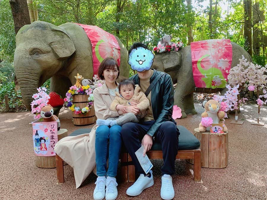 のインスタグラム：「🐘🐆🦁🐧🦏🐅🐒💚・ 家族でズーラシアに行ってきました(*'▽'*) 到着した駐車場でスマホを落として壊してしまい絶望しながらも入園。 夫のスマホでひたすら写真と動画を撮ってもらいました😇 ・ 新しい機種だとズームも綺麗なんですね〜😂←私のはiPhone SE ・ それぞれの動物の敷地は結構広く取られているのだけど、タイミングが良かったのか殆どの動物が顔を見せてくれたり近くまで来てくれました☺️ ・ さすがにまだ喜んではいなかったけど何だろう？とじーっと動物を見ていた息子🤨・ 歩けるようになったらまた連れて行きたい^ ^ ・ ・ ・ ・ ・ #zoo #zoorasia #familyday #familytime #weekendfun #yokohama #ズーラシア #動物園 #初めての動物園 #家族でおでかけ #記念写真 #場所見知り につき#眉間にシワ #11ヶ月男の子」