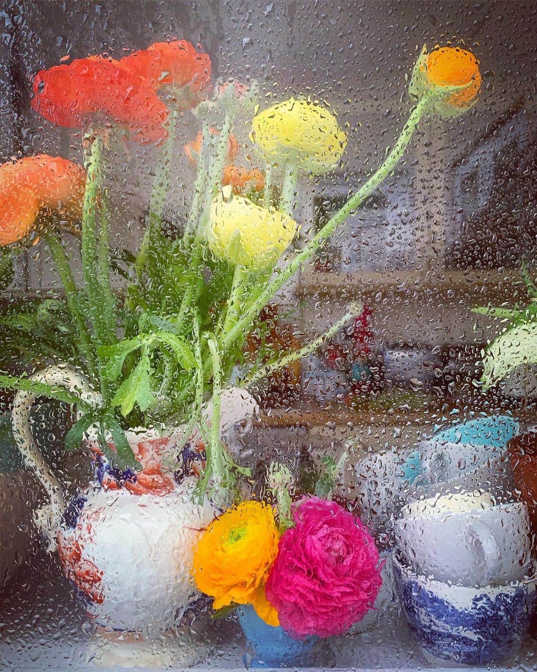 Tea and sittingのインスタグラム：「🌧🌷💞 #ranunculus #rainywindow」