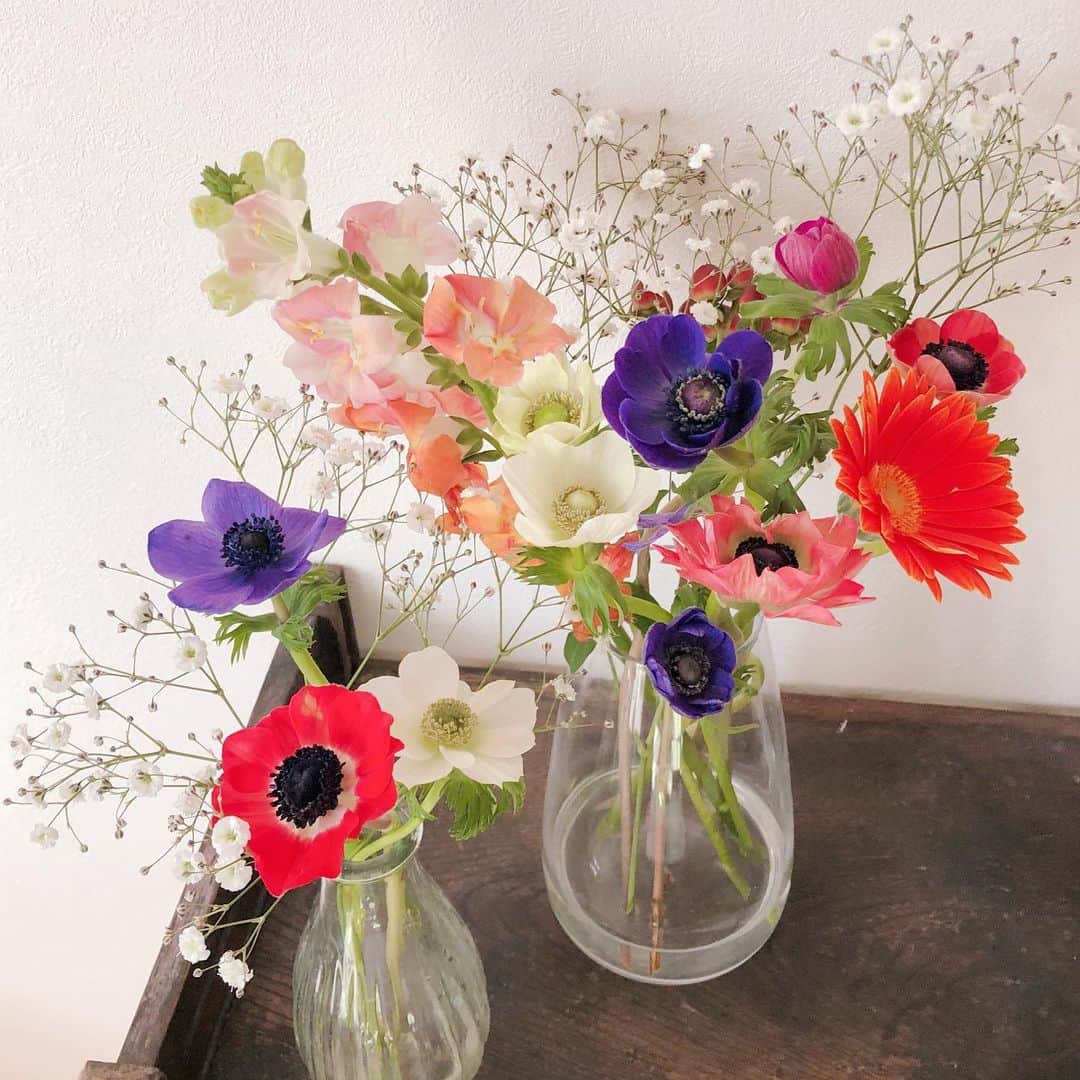 石川瑠利子のインスタグラム：「. . お部屋にふわっとお花の香りがすると癒されます❤️ 今回はアネモネがたくさん✨ . . #flower #flowerstagram #お花 #花のある暮らし」