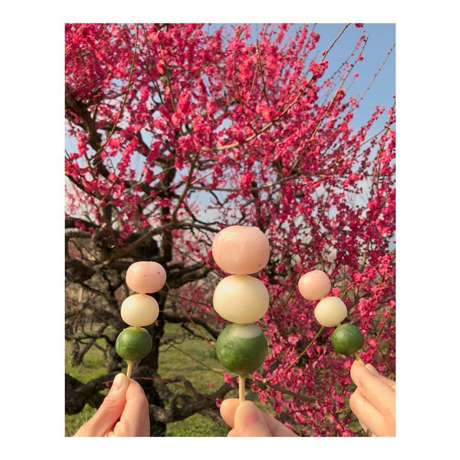 森千波さんのインスタグラム写真 - (森千波Instagram)「2/20 #1000hana 🌸🍡 . . . . #plum#flowers#friends#pink#white#colorful#spring#japan#smile#梅#梅林#花#春#友達#🌸#🍡#武者震いの会」2月24日 22時49分 - 1000wave