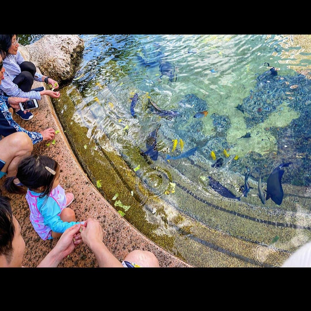 中川真依さんのインスタグラム写真 - (中川真依Instagram)「. 🌺GUAM🏖 急遽決まった家族旅行✈️ 弾丸だったけど楽しかった〜😚💕 午前中は娘の時間💪🏻 とことん遊びに付き合うと決めて毎日海とプールへ🏖 おかげでお昼寝は3、4時間してくれました😆👍そしてその間に買い物へ💋✨ グアム毎日そのルーティンで充分楽しめました🥰 今回のホテルはPIC🏨子連れにはめちゃくちゃオススメです🤩‼️ #guam #picguam #弾丸ツアー #家族旅行」2月24日 22時58分 - maimai.47