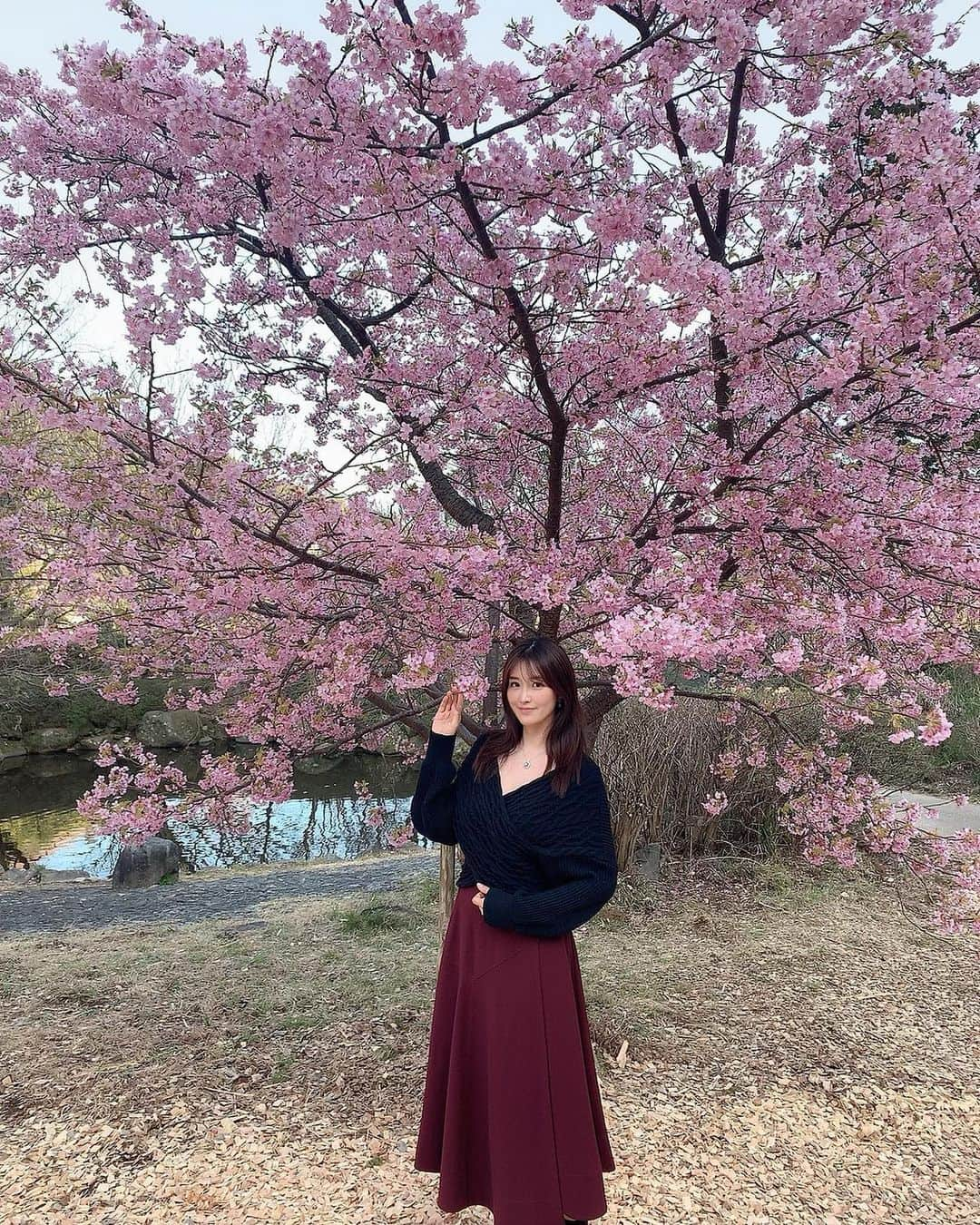 葉加瀬マイさんのインスタグラム写真 - (葉加瀬マイInstagram)「湯河原梅林🌸 ぽっかぽかでコートいらなかった☺️ #湯河原温泉 #湯河原梅林　#湯河原梅林 #유가와라온천 #yugawara」2月24日 23時03分 - m.hakase