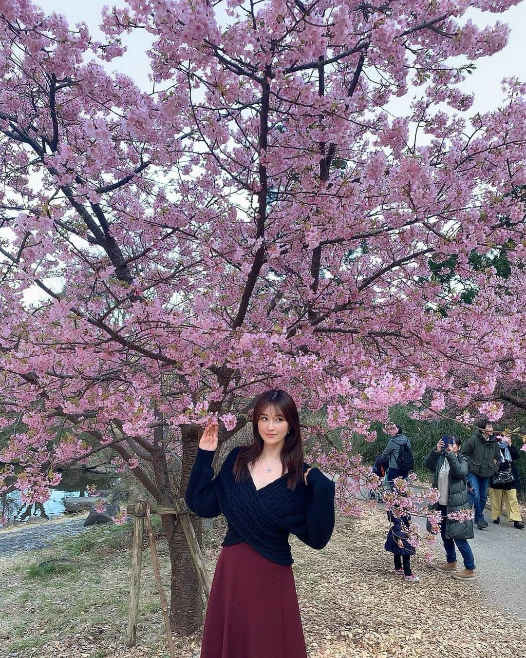 葉加瀬マイさんのインスタグラム写真 - (葉加瀬マイInstagram)「湯河原梅林🌸 ぽっかぽかでコートいらなかった☺️ #湯河原温泉 #湯河原梅林　#湯河原梅林 #유가와라온천 #yugawara」2月24日 23時03分 - m.hakase