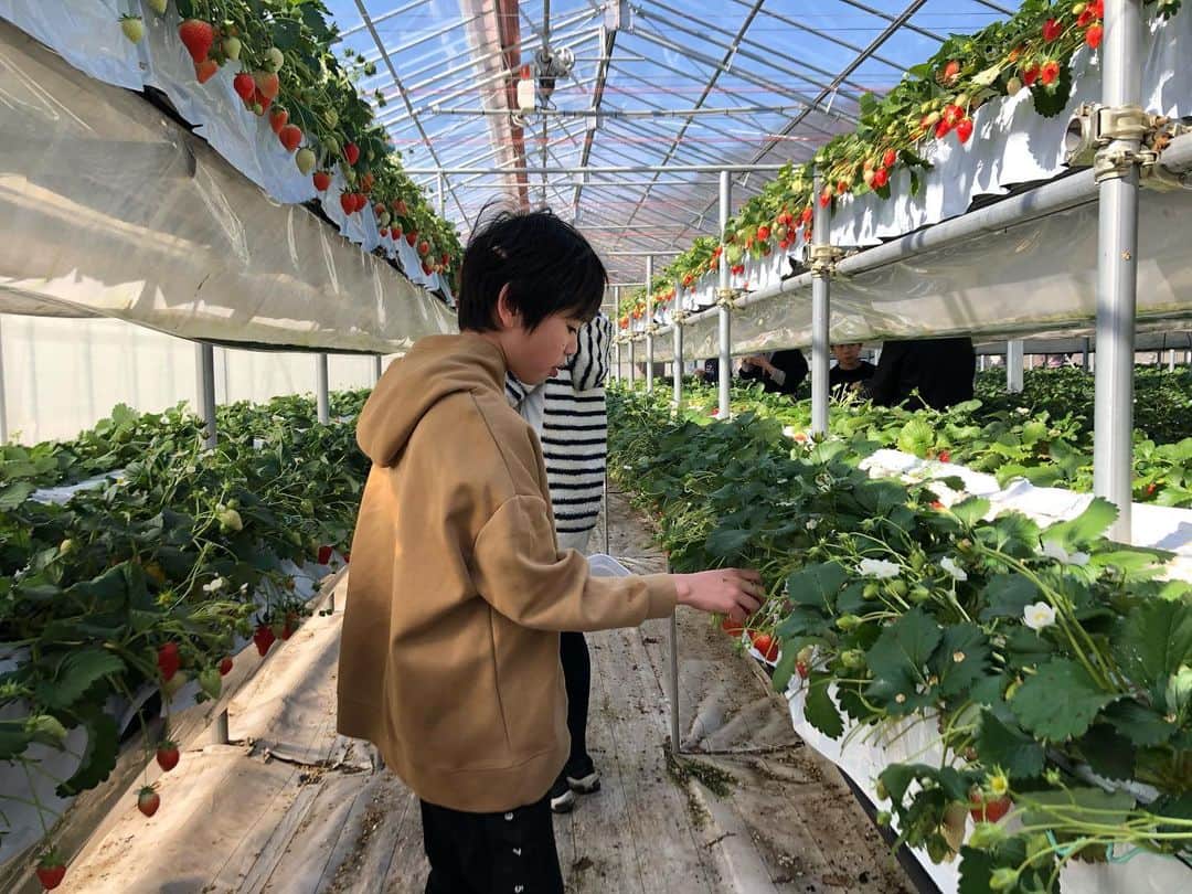 木庭弥生のインスタグラム