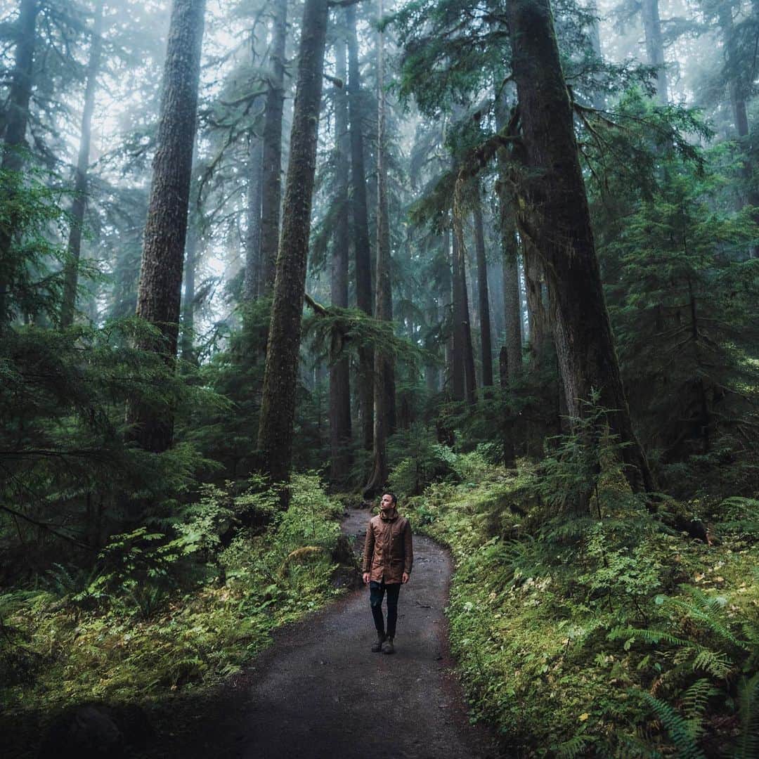のインスタグラム：「Endless exploration.  Image by @jasoncharleshill」