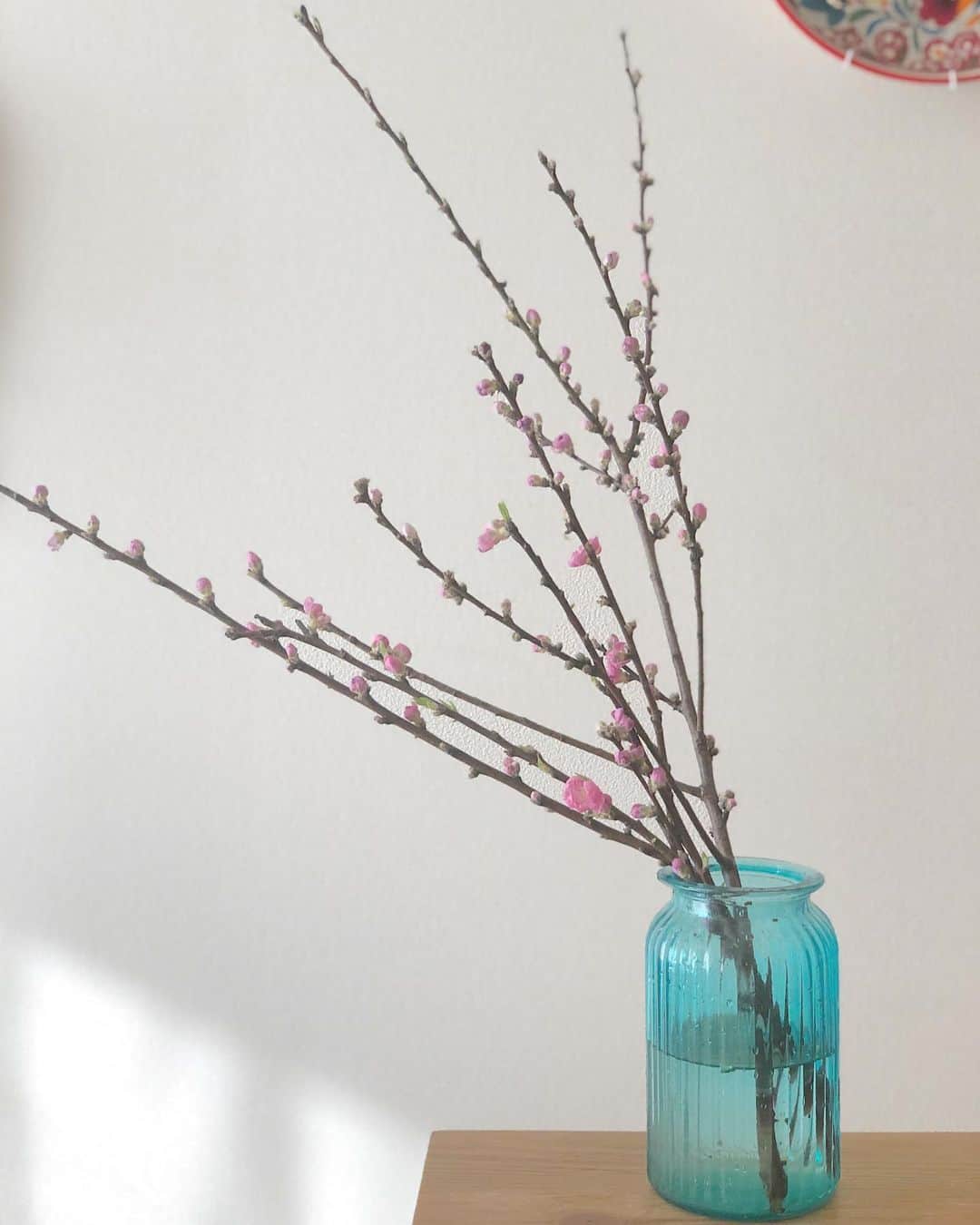 平田薫さんのインスタグラム写真 - (平田薫Instagram)「桃の花。というか、桃の木？ 近所のお花屋さんで。 桃の花は咲かせるのが難しいから、栄養剤入れるか、枝の水につく部分を十字に割って水の吸いを良くしてとても暖かくするか。とアドバイスをいただきました。 うち部屋暖かいからいけるかな？と思ったら少し咲き始めた☻  ヒヤシンスは花が終わって、ネギみたいになってます。(2枚目🤣) #お花のある暮らし #桃の花#ネギ#のような#ヒヤシンス」2月24日 15時53分 - hiratakaoru1215