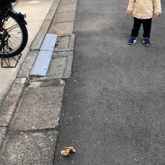 のインスタグラム：「風で動く落ち葉にビビるコニッチロー🍂  #コニッチロー #ビビリ #息子 #怖いから落ち葉にバイバイする #リアクション芸人 #チッチロー #ニッチロー'」