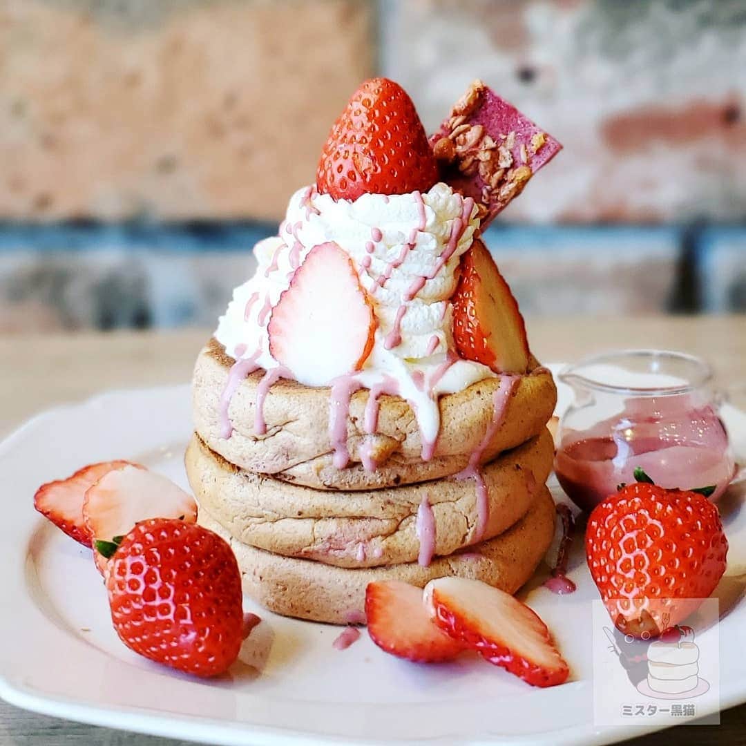 ミスター黒猫（黒猫仙人）のグルメインスタ