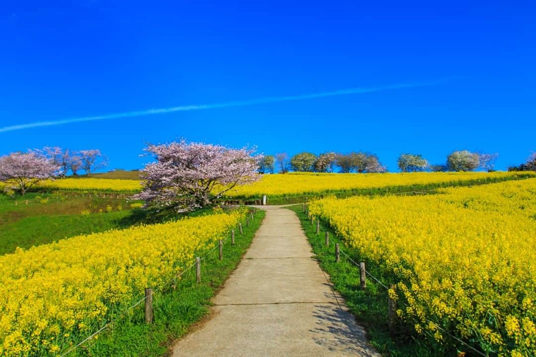 楽天トラベル のインスタグラム