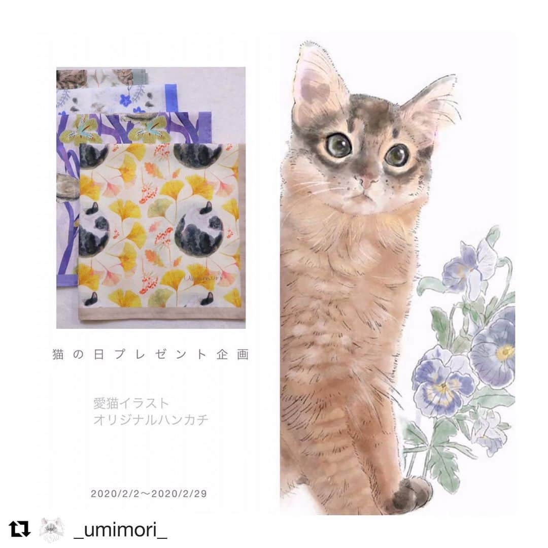 コテツのインスタグラム