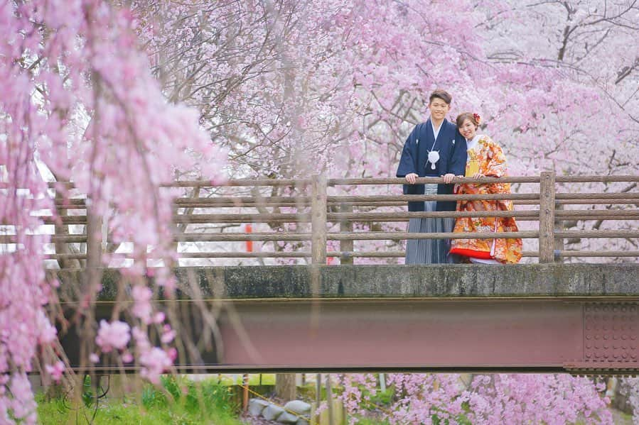 Decollte Wedding Photographyさんのインスタグラム写真 - (Decollte Wedding PhotographyInstagram)「【 奈良 Nara 】Full blooming Cherry Blossom🌸﻿ ﻿ Photographer @n.aoki_tvb﻿ ﻿ @studiotvb_nara  @decollte_weddingphoto﻿ @decollte_weddingstyle﻿ ﻿ ﻿ #japan #Nara #cherryblossom #fullblooming  #Decolltephotography #weddinginspiration #Weddingphotography #prewedding #weddingphoto #overseasprewedding #japaneseprewedding #japanwedding #landscapephotography #romantic #love #happiness #日本 #奈良 #桜 #海外婚紗 #婚紗 #唯美 #신부 #웨딩 #웨딩사진」2月24日 18時26分 - d_weddingphoto_jp