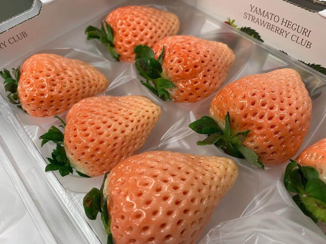 青木栄美子さんのインスタグラム写真 - (青木栄美子Instagram)「❤️。 最近お仕事で出会った 白イチゴの「淡雪」❤️ 贈答用で、 一粒200円の高級イチゴ。  薄ピンクだけど、 白イチゴの品種で とーっても甘い香りがします。 サイズもBIG！  #白イチゴ #淡雪 #追跡！野菜のお値段 #高級イチゴ🍓 #岡部里香アナウンサー」2月24日 18時32分 - emikooo000