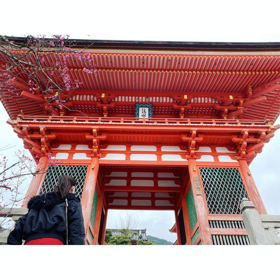 影山祥子さんのインスタグラム写真 - (影山祥子Instagram)「A's birthday旅　伏見稲荷神社⛩🦊 . . ここはもお有名よね☺️ なんと、おみくじ引いたら2人とも全く同じ。そんなことある？ 違うガラガラ回したのに、タイミングも違ったのに、同じ札。ww しかも大大吉。 そんな事ある？←2回目 とりあえず観光してた外国人の方のポーズ見て真似したりして遊んでた☺️ 途中邪魔が入ったけど、それはストーリーに残してあるからみてね☺️w . . #京都　#京都観光　#伏見稲荷大社  #🦊　#千本鳥居　#インスタ映え  #スポット　#のっかる　#謎の　#ポージング #おみくじ　#大大吉　#kyoto #photooftheday #pleasant #jinja」2月24日 18時51分 - sacco324