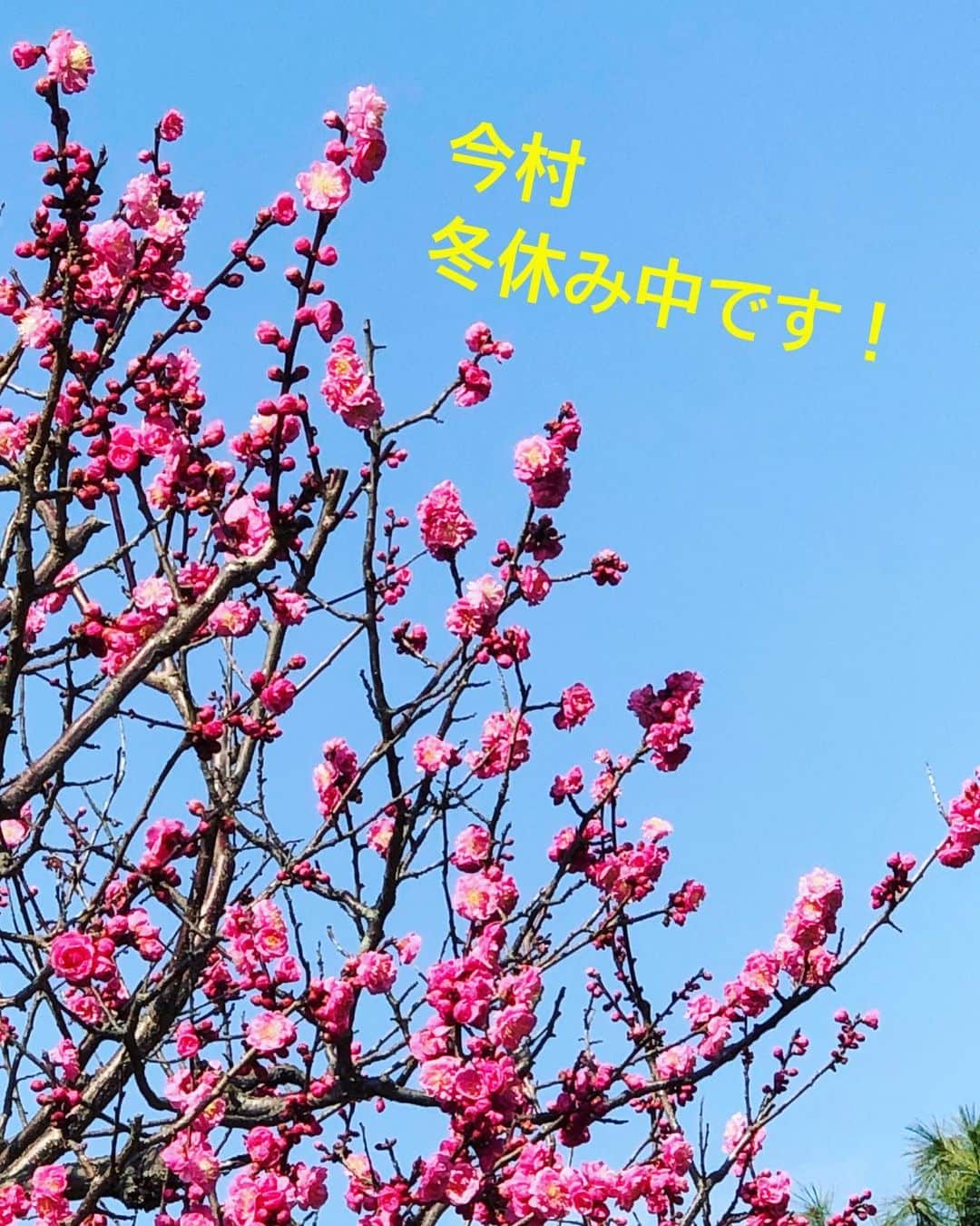 今村涼子さんのインスタグラム写真 - (今村涼子Instagram)「今週、冬休みを頂いています！ 今回は体調不良ではありませんので、 しっかり充電してきます！ #冬休み#充電」2月24日 19時15分 - ryoko.imamu