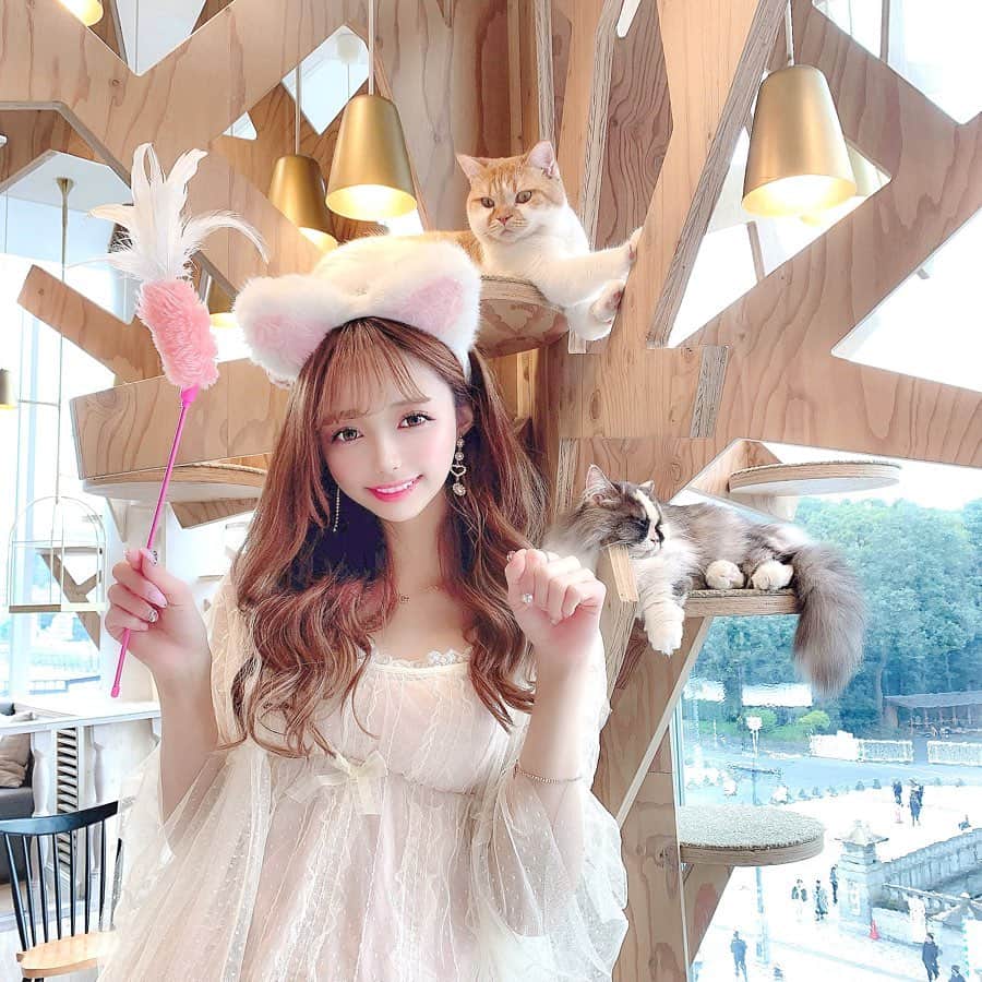 あやちゃんのグルメインスタ