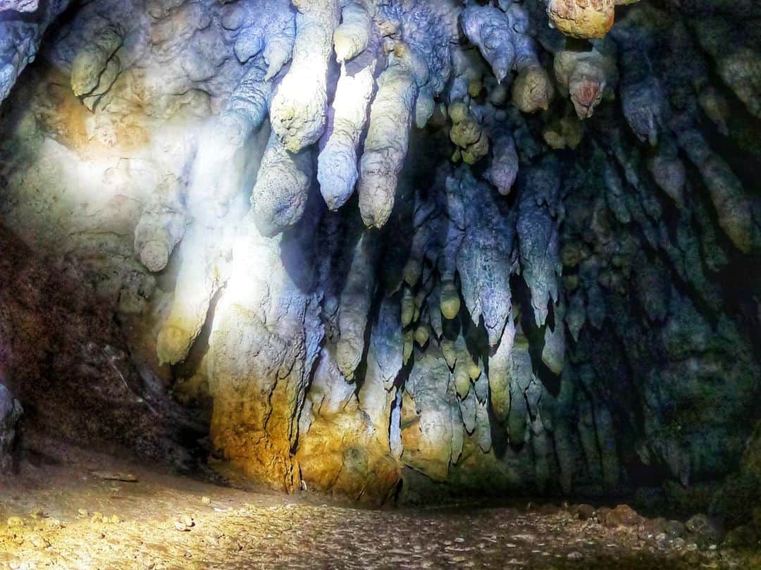 芳美リンさんのインスタグラム写真 - (芳美リンInstagram)「#ヤジャーガマ洞窟探検﻿ ﻿ 結構ガチで探検！﻿ ﻿ 暗い洞窟の中は、不思議な世界。﻿ 地球の神秘を感じます。﻿ ﻿ 長い年月をかけて成長しているつらら石や、﻿ 風葬で埋葬されているお骨、﻿ 久米島独自の生物など、不思議がいっぱい。﻿ ﻿ ﻿ ﻿ でも何よりの見どころは、﻿ ガイドの保久村昌欣さんが独特のテンポの毒舌でオモシロすぎるとこ！﻿ ﻿ ﻿ 知識は抜群、ユーモアも最高！﻿ ﻿ ﻿ ﻿ ﻿#久米島観光協会#sponsored﻿﻿﻿ #ヤジャーガマ洞窟﻿#ヤジャーガマ鍾乳洞 #家出旅#一人旅#女子旅﻿ #久米島#鍾乳洞#つらら石#洞窟﻿ #沖縄#kumejima#okinawa﻿ #旅したくなるフォト #japantrip #旅行 #travelstagram #旅人 #lynn_trip #travelme #travel #trip #traveler #トラベラー ﻿ #旅好きな人と繋がりたい﻿ #travelholics﻿ #GoProjp#goproのある生活」2月24日 19時52分 - lynn.lynn5