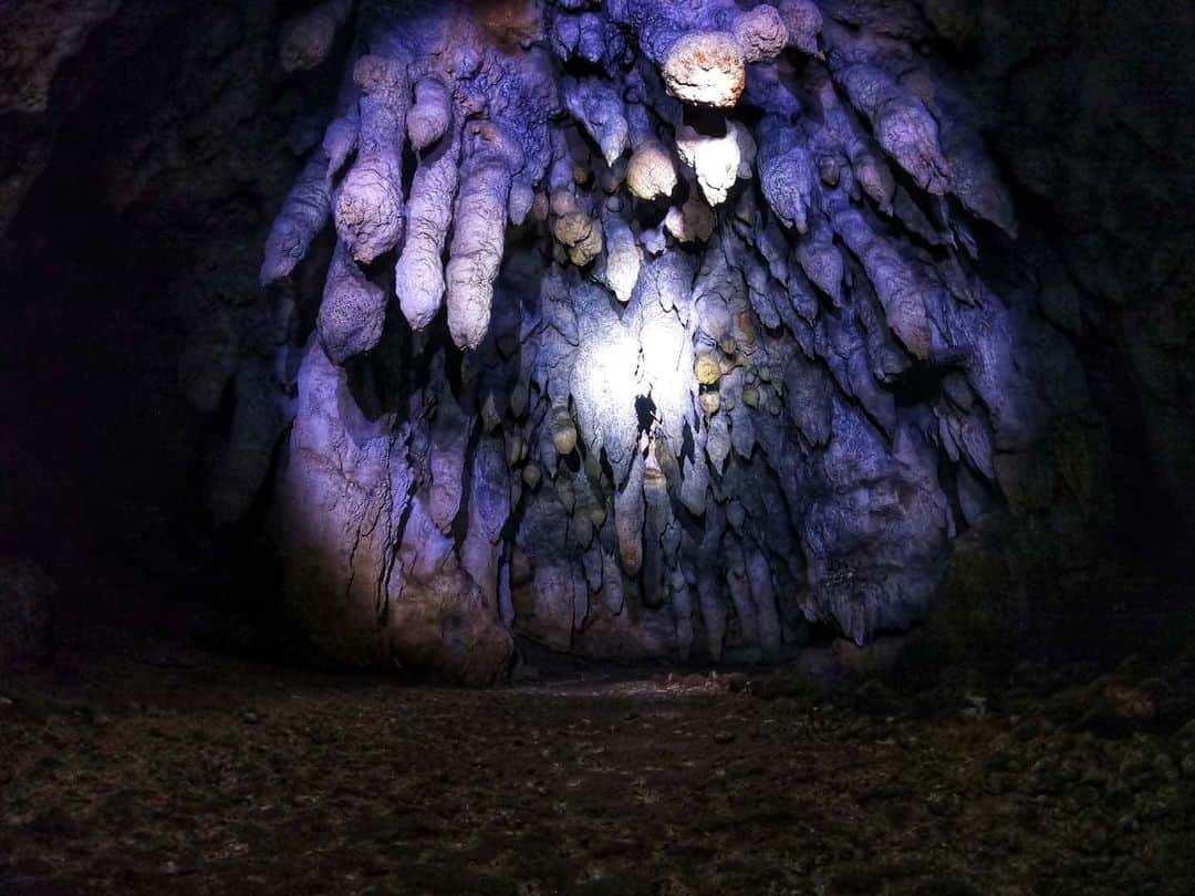 芳美リンさんのインスタグラム写真 - (芳美リンInstagram)「#ヤジャーガマ洞窟探検﻿ ﻿ 結構ガチで探検！﻿ ﻿ 暗い洞窟の中は、不思議な世界。﻿ 地球の神秘を感じます。﻿ ﻿ 長い年月をかけて成長しているつらら石や、﻿ 風葬で埋葬されているお骨、﻿ 久米島独自の生物など、不思議がいっぱい。﻿ ﻿ ﻿ ﻿ でも何よりの見どころは、﻿ ガイドの保久村昌欣さんが独特のテンポの毒舌でオモシロすぎるとこ！﻿ ﻿ ﻿ 知識は抜群、ユーモアも最高！﻿ ﻿ ﻿ ﻿ ﻿#久米島観光協会#sponsored﻿﻿﻿ #ヤジャーガマ洞窟﻿#ヤジャーガマ鍾乳洞 #家出旅#一人旅#女子旅﻿ #久米島#鍾乳洞#つらら石#洞窟﻿ #沖縄#kumejima#okinawa﻿ #旅したくなるフォト #japantrip #旅行 #travelstagram #旅人 #lynn_trip #travelme #travel #trip #traveler #トラベラー ﻿ #旅好きな人と繋がりたい﻿ #travelholics﻿ #GoProjp#goproのある生活」2月24日 19時52分 - lynn.lynn5