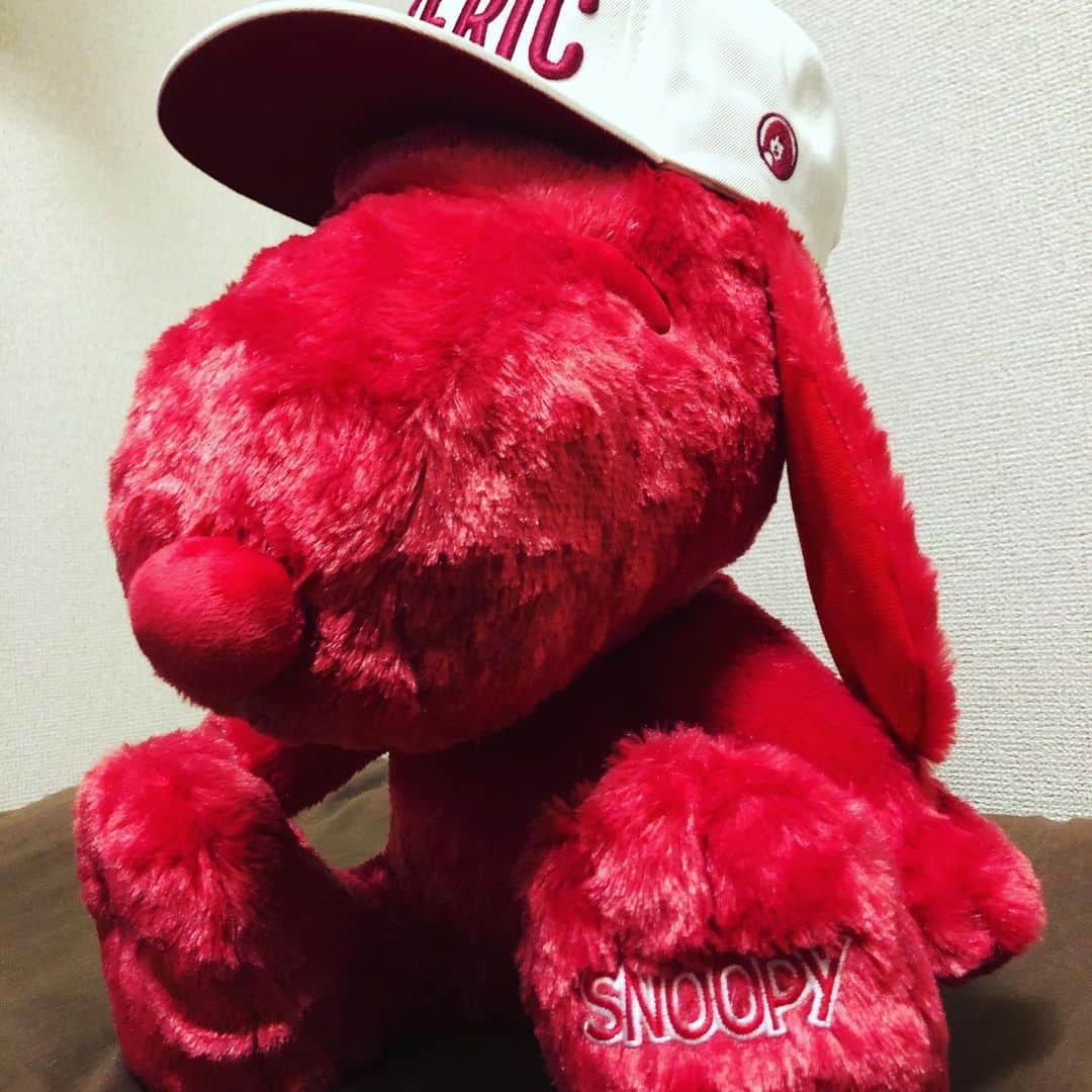 前田隆太朗さんのインスタグラム写真 - (前田隆太朗Instagram)「今度、FC動画にも登場するこいつ。 ふと帽子をかぶせてみたらとんでもなく似合ってやがる。 #赤いスヌーピー #赤いスイートピー #言葉が似てる」2月24日 19時59分 - ryu_mae
