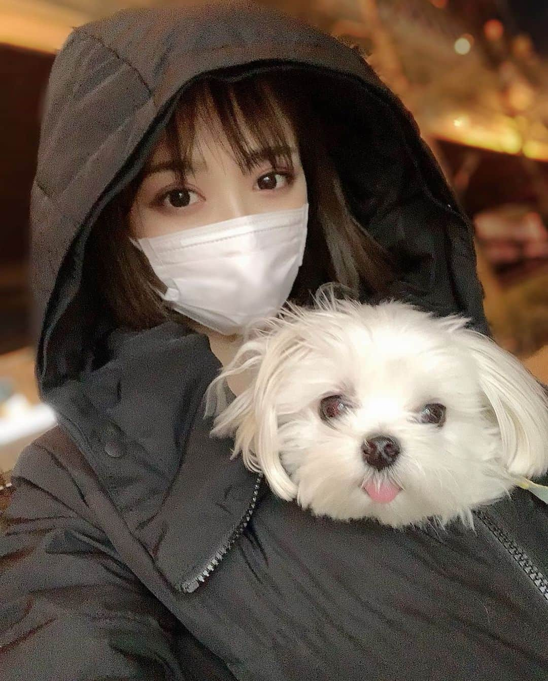 伊藤愛真さんのインスタグラム写真 - (伊藤愛真Instagram)「散歩ちゅ！夜はまだまだ寒いね🐶」2月24日 20時10分 - __emagram